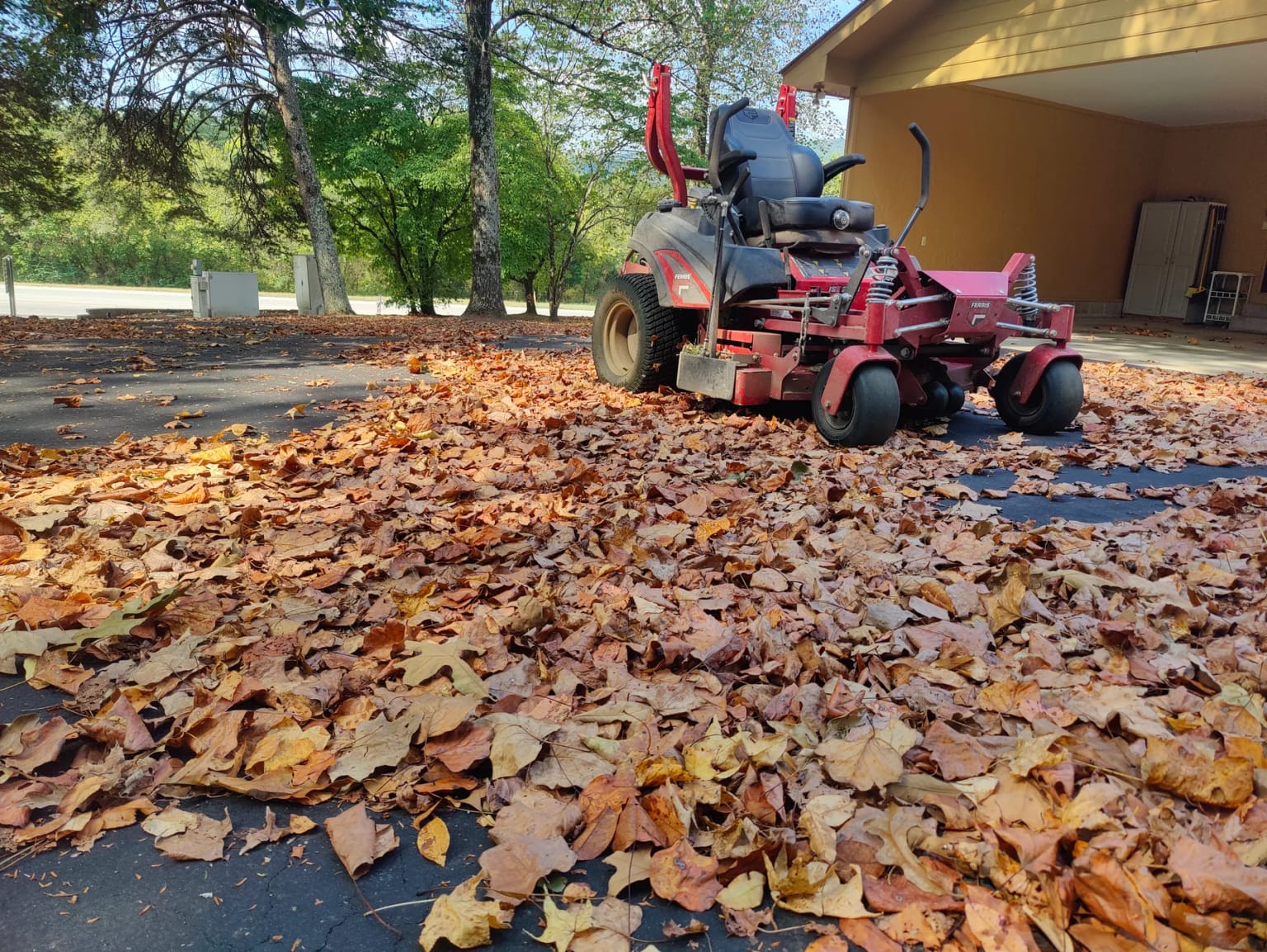 Roosters mower in a leaf-covered driveway during a fall cleanup