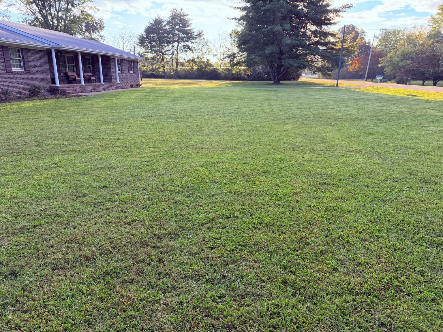 Before - yard needing work